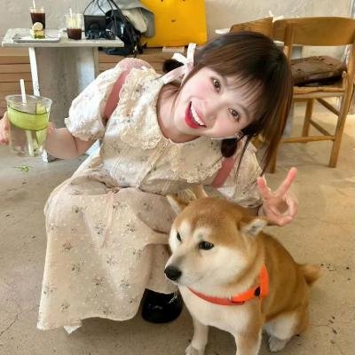 爸爸是坏人冠军